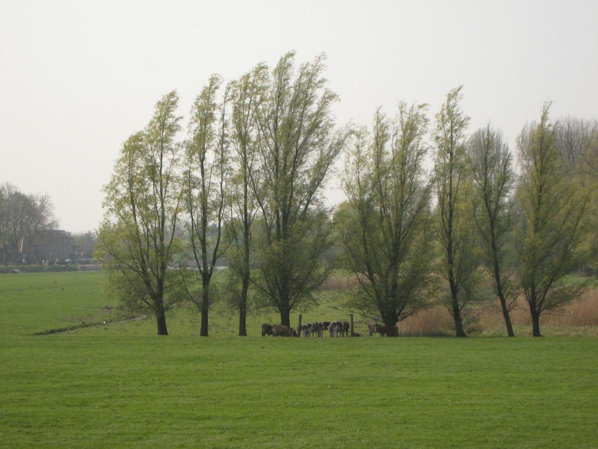 לירדאם Quaint Farmhouse Near River In Oosterwijk מראה חיצוני תמונה